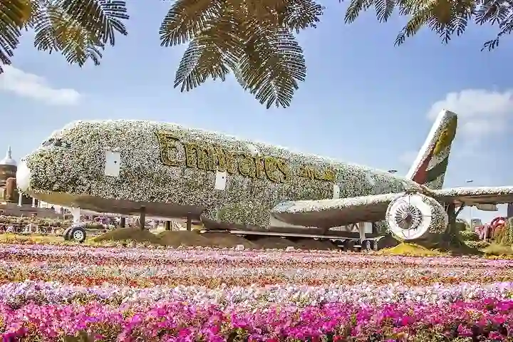 Miracle Garden