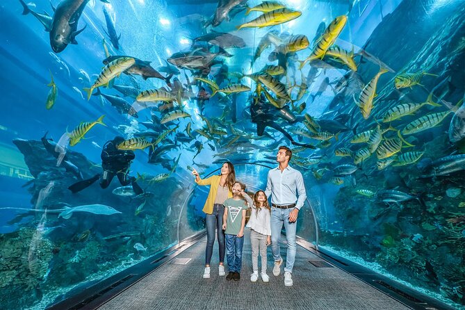 Dubai Aquarium and Underwater Zoo Ticket