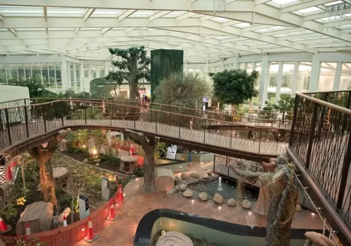 Quranic Park Dubai Tour