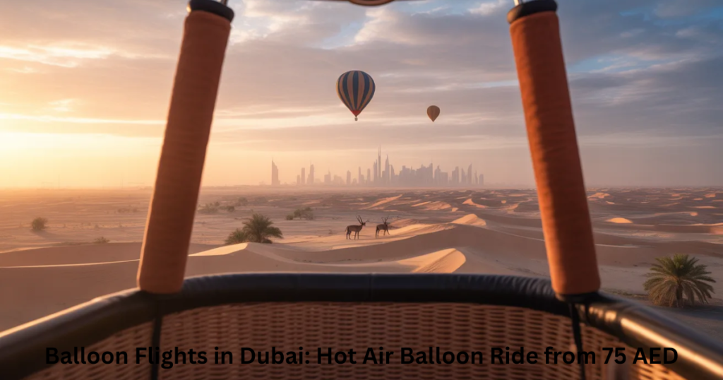 Scenic views during balloon flights Dubai including desert and skyline