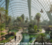 Green Planet offers Dubai indoor rainforest tickets and discounts view