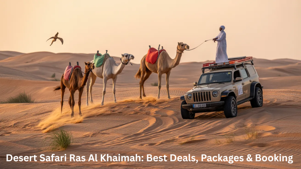 Top activities in Ras Al Khaimah desert safari