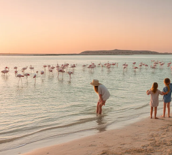 Ras Al Khaimah Things To Do - Jebel Jais and Beach Activities Jebel Jais mountain views and beautiful beaches in Ras Al Khaimah UAE