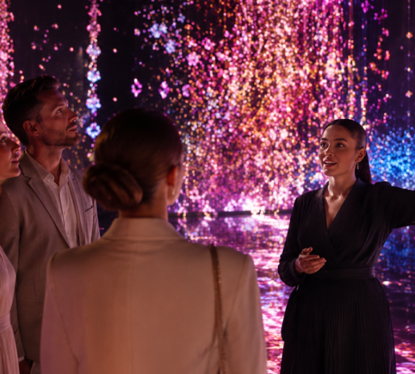VIP guided tour at teamLab Phenomena Abu Dhabi with knowledgeable guide explaining interactive digital art installation